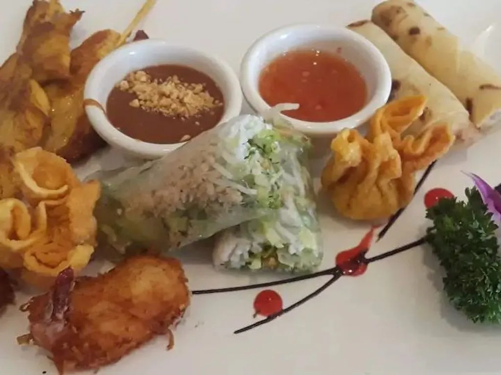 Thai appetizer sampler platter with spring rolls, satay and dipping sauces at Green Papaya Thai Cuisine, a Thai Restaurant in Jacksonville
